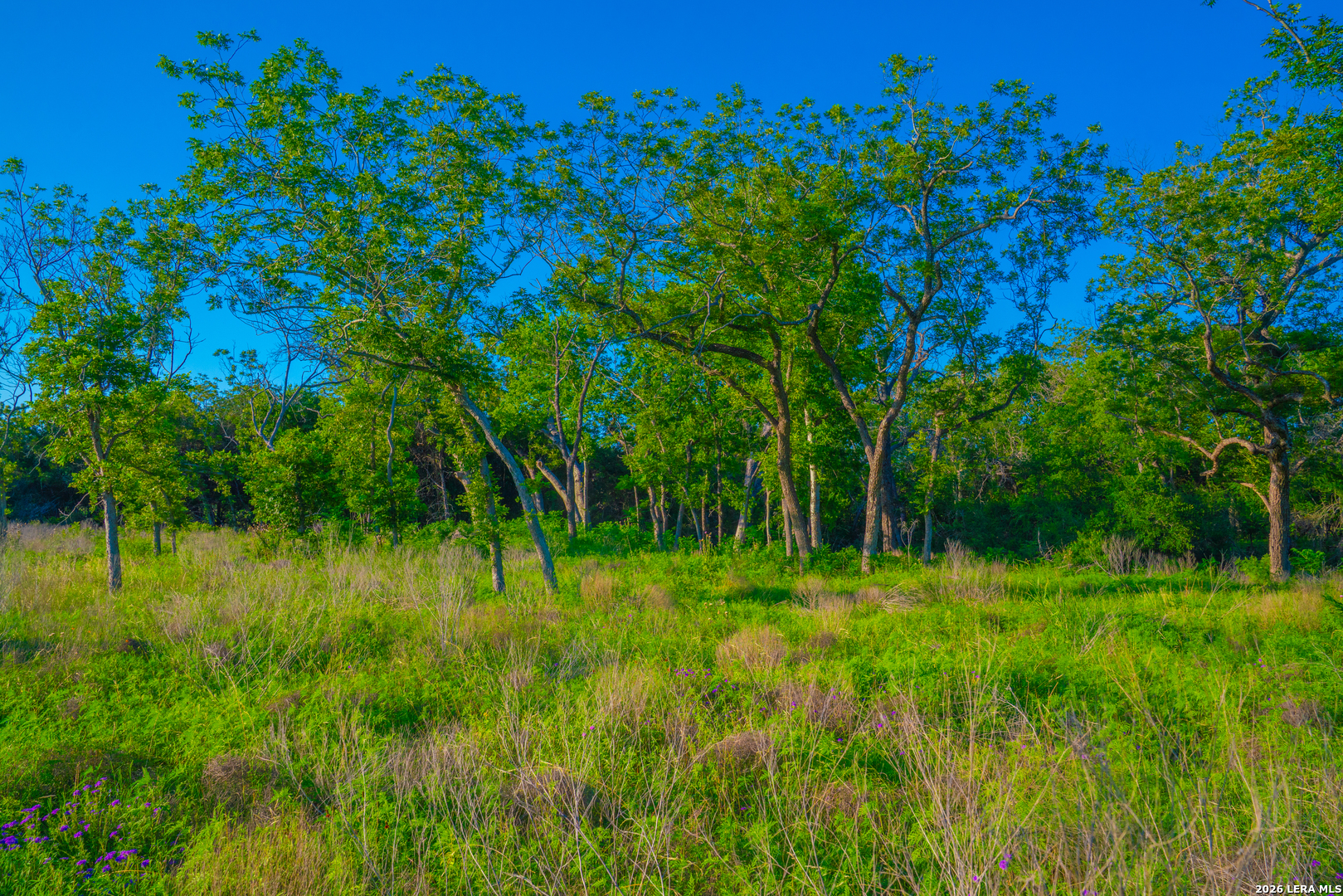 Tbd Wine Trail Drive Johnson City TX 78636