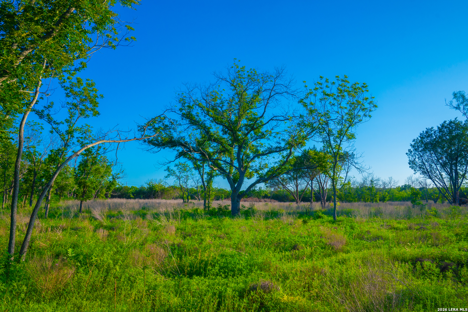 Tbd Wine Trail Drive Johnson City TX 78636