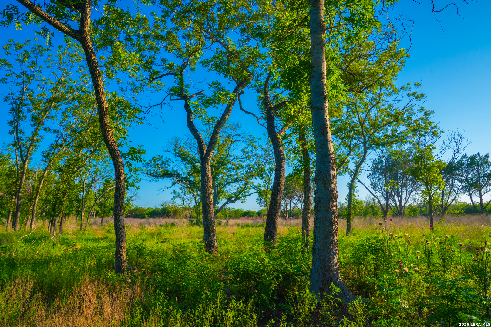 Tbd Wine Trail Drive Johnson City TX 78636