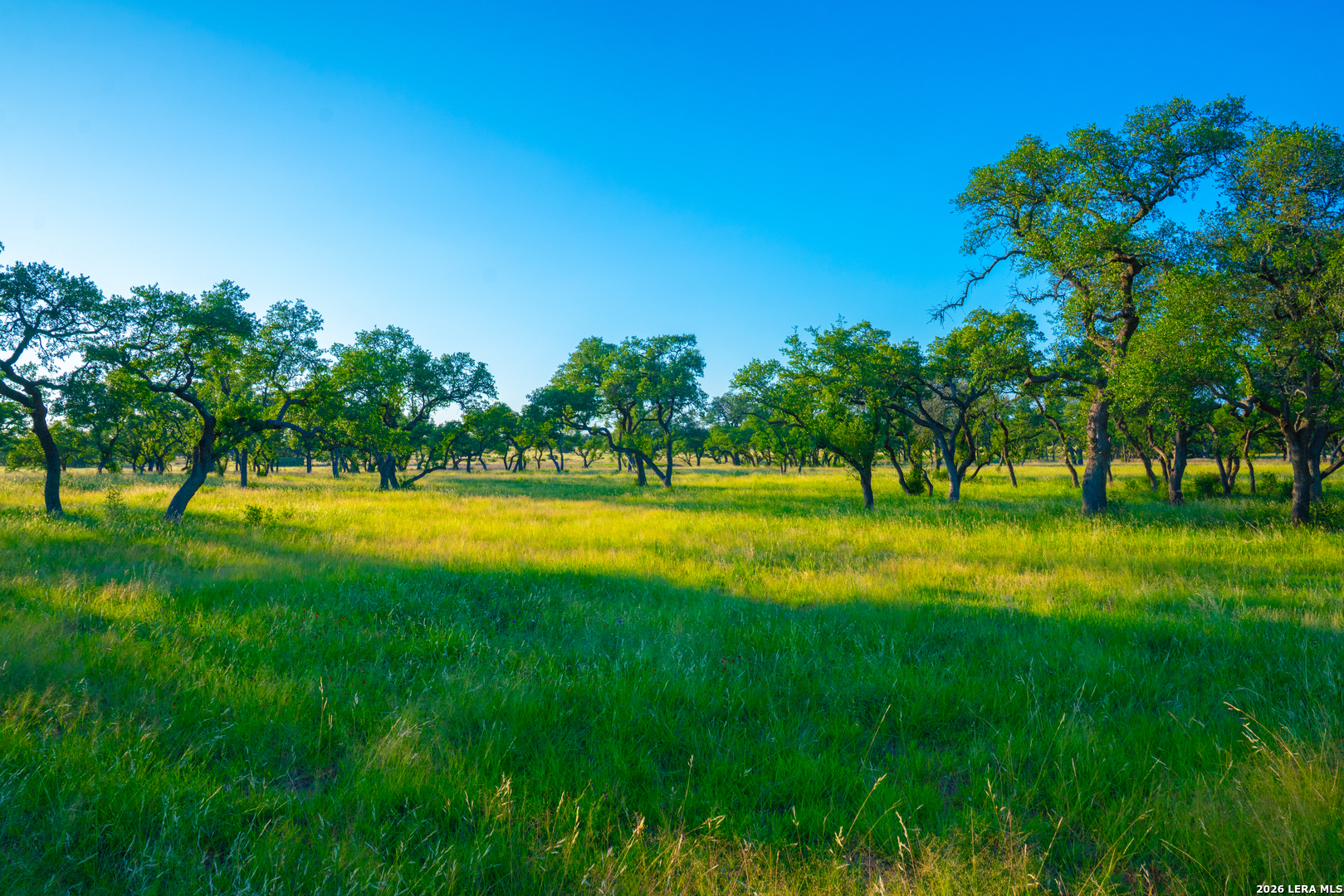 Tbd Wine Trail Drive Johnson City TX 78636