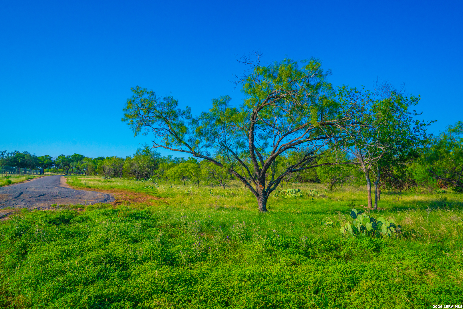 Tbd Wine Trail Drive Johnson City TX 78636