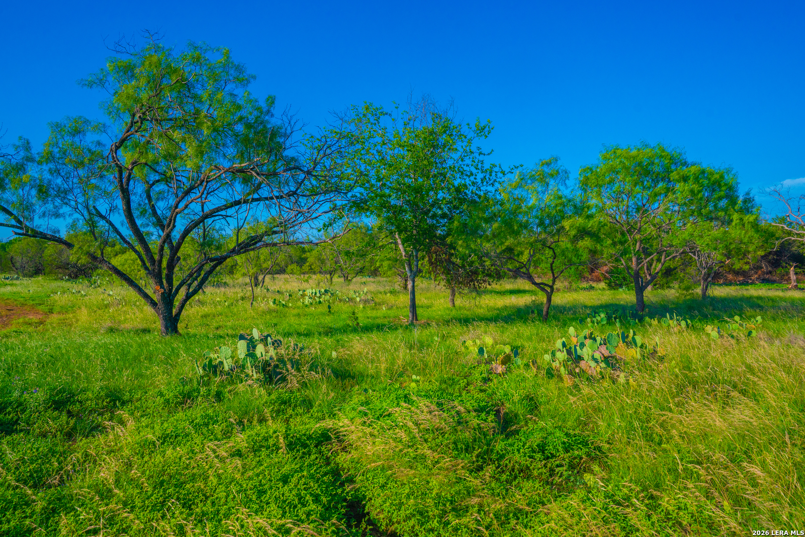 Tbd Wine Trail Drive Johnson City TX 78636
