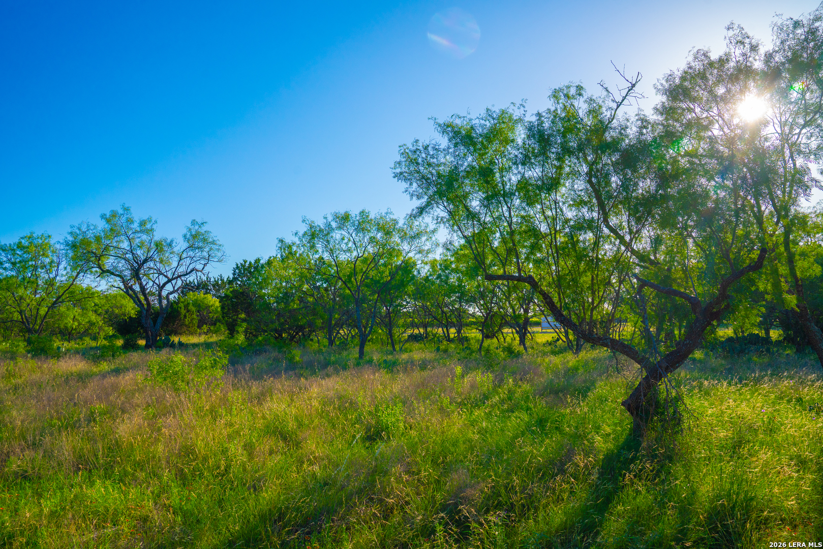 Tbd Wine Trail Drive Johnson City TX 78636