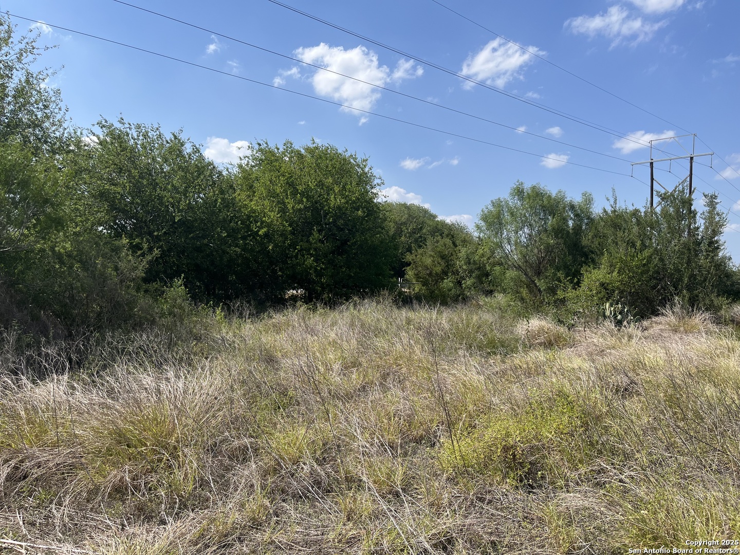 Tbd Highway 59 Freer TX 78357