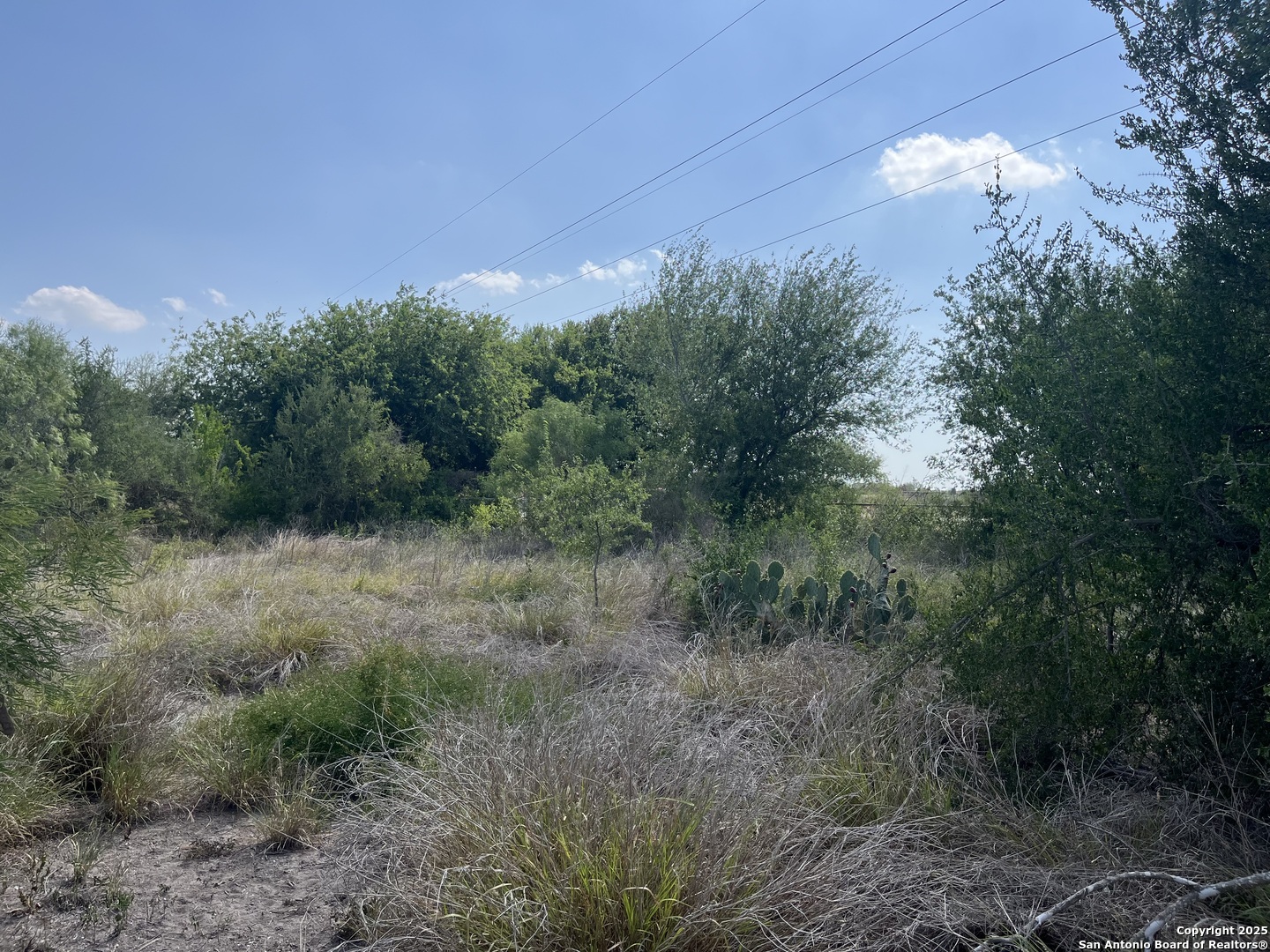 Tbd Highway 59 Freer TX 78357