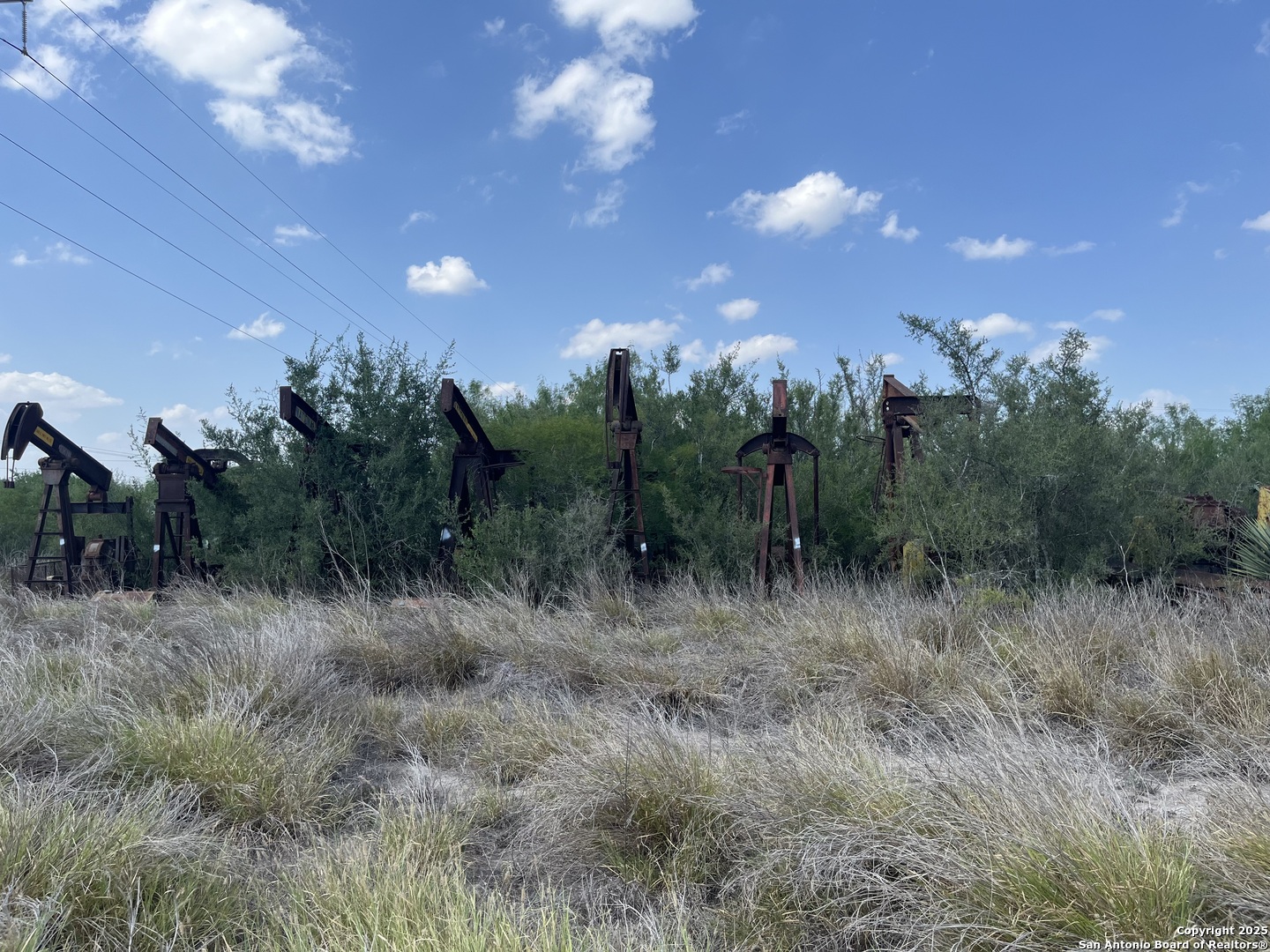 Tbd Highway 59 Freer TX 78357