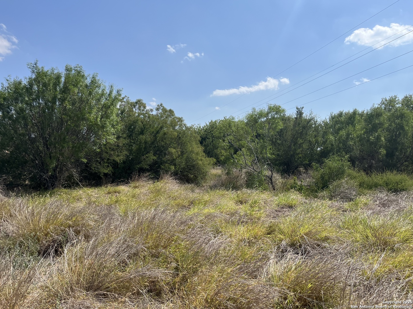 Tbd Highway 59 Freer TX 78357