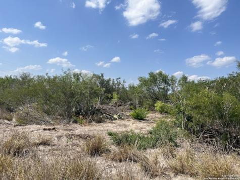 Tbd Highway 59 Freer TX 78357