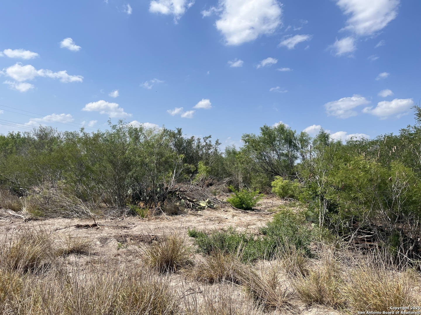 Tbd Highway 59 Freer TX 78357