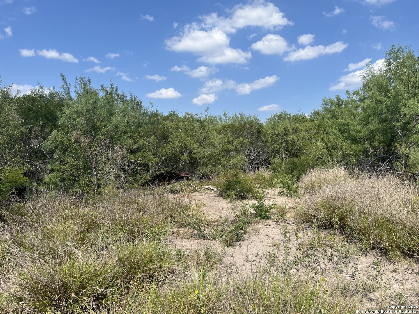 Tbd Highway 59 Freer TX 78357