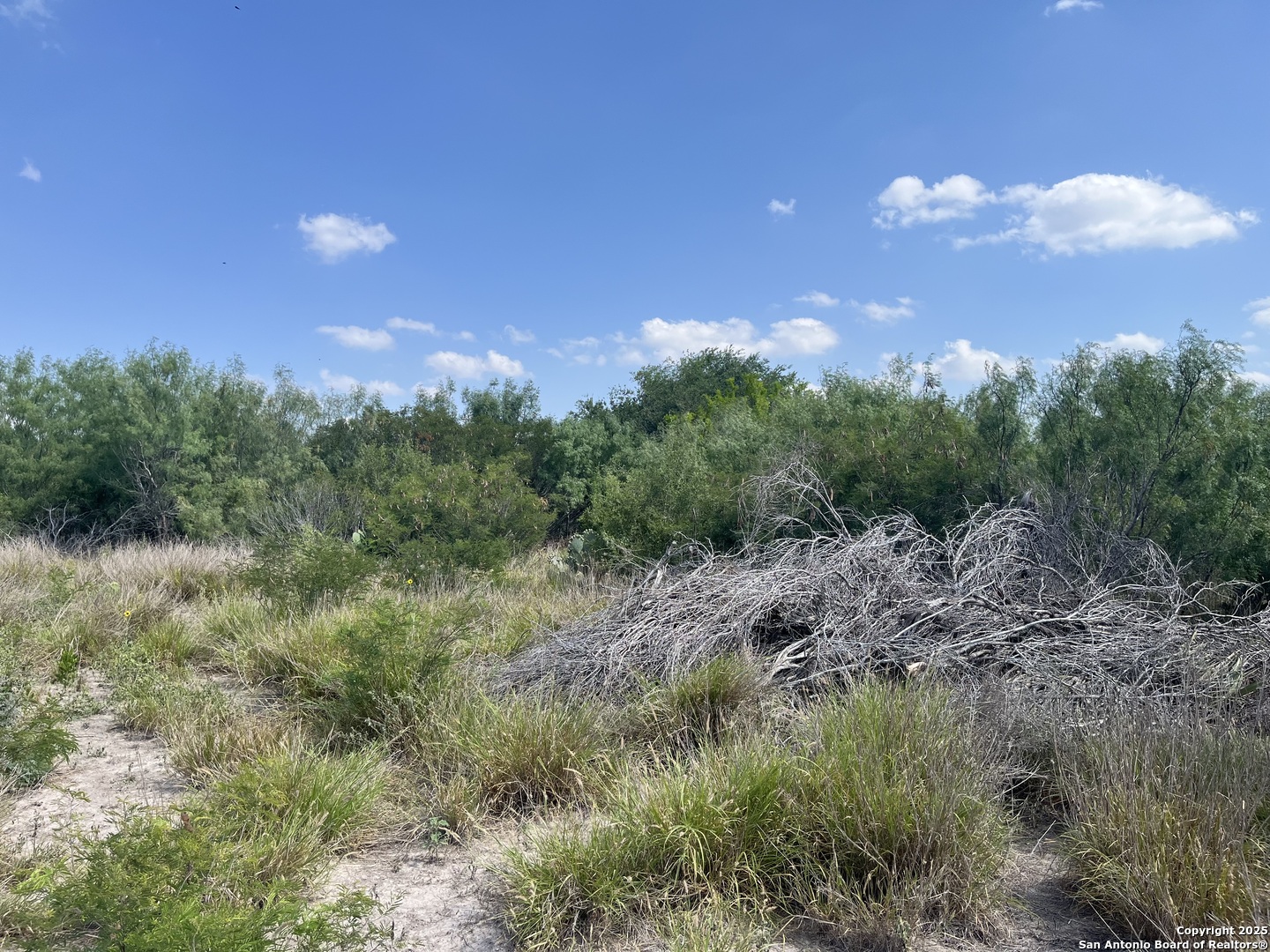 Tbd Highway 59 Freer TX 78357