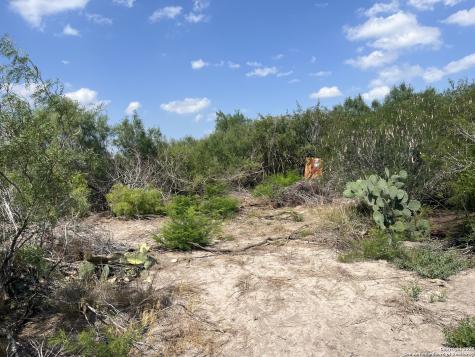 Tbd Highway 59 Freer TX 78357