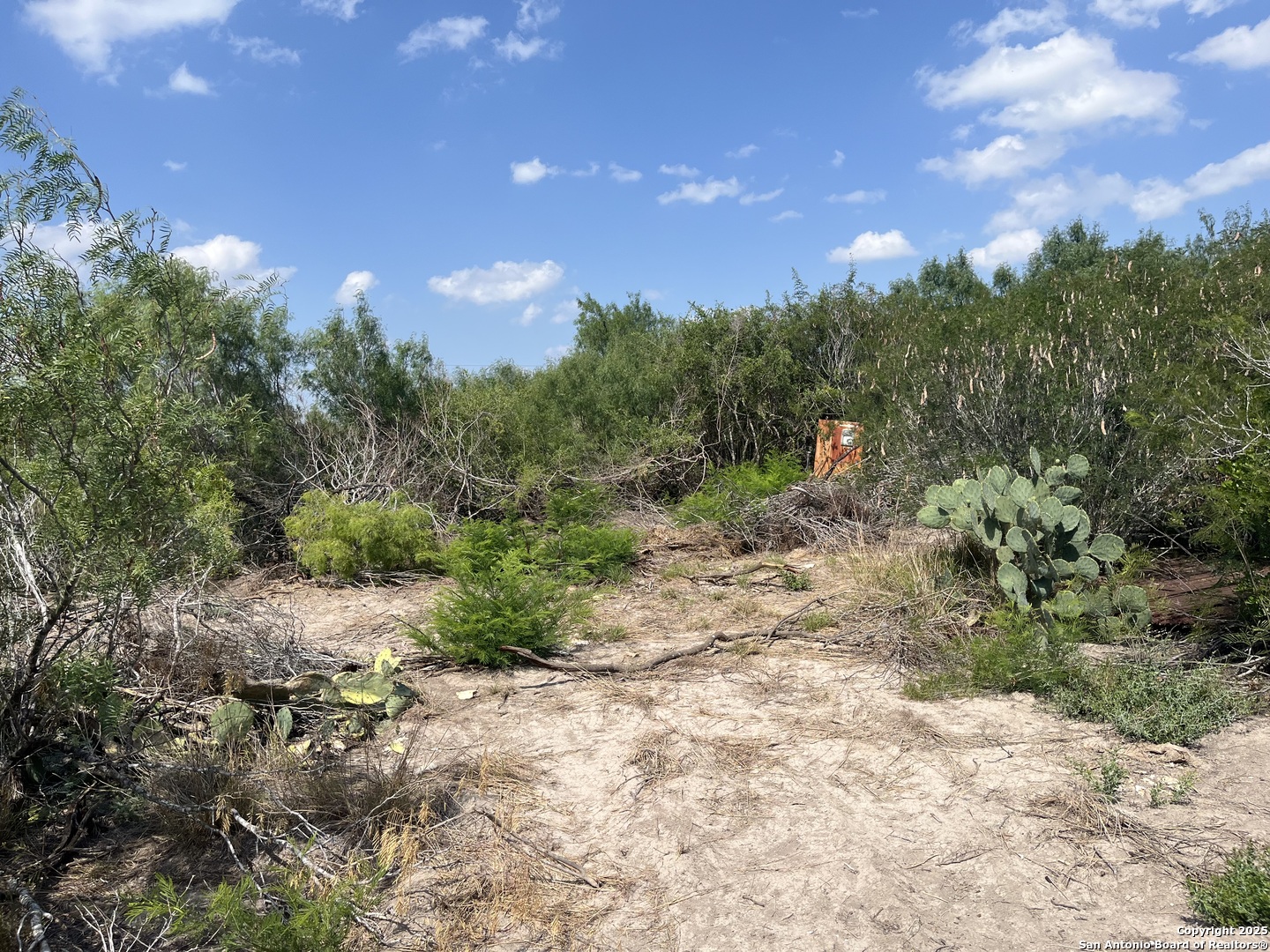 Tbd Highway 59 Freer TX 78357