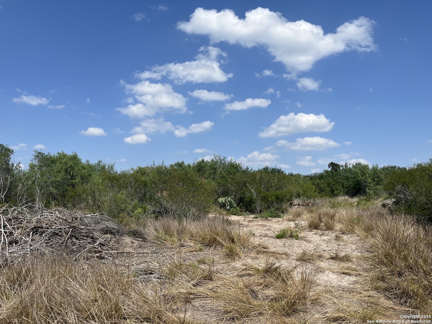 Tbd Highway 59 Freer TX 78357