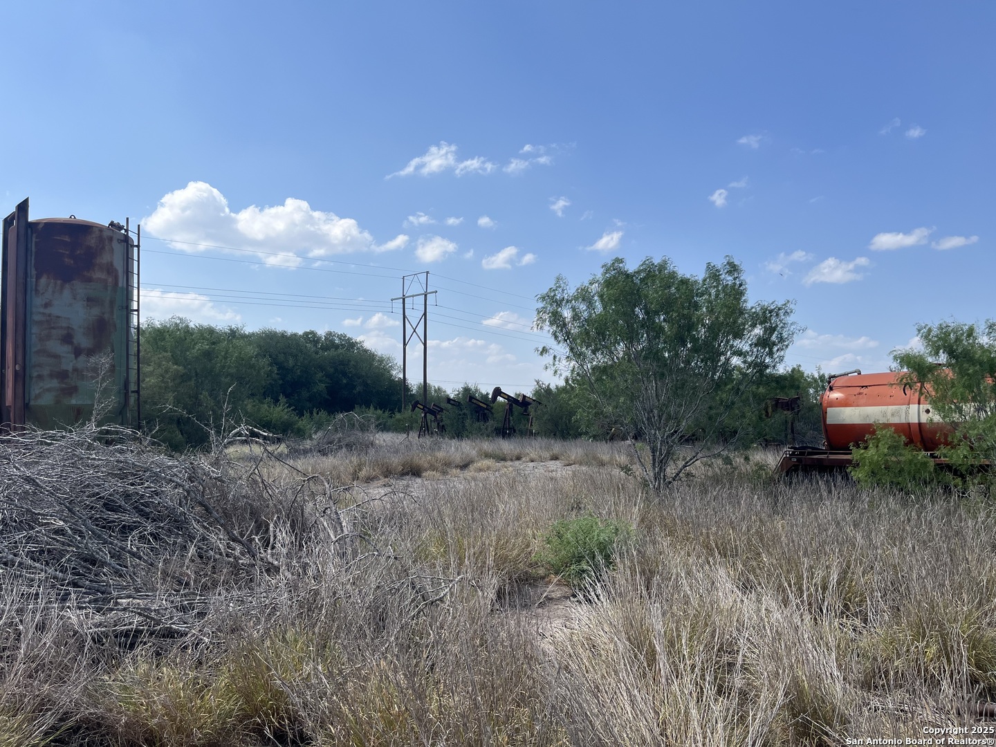 Tbd Highway 59 Freer TX 78357