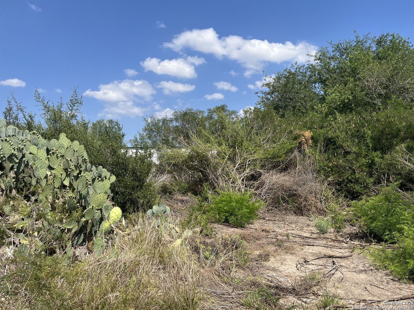 Tbd Highway 59 Freer TX 78357