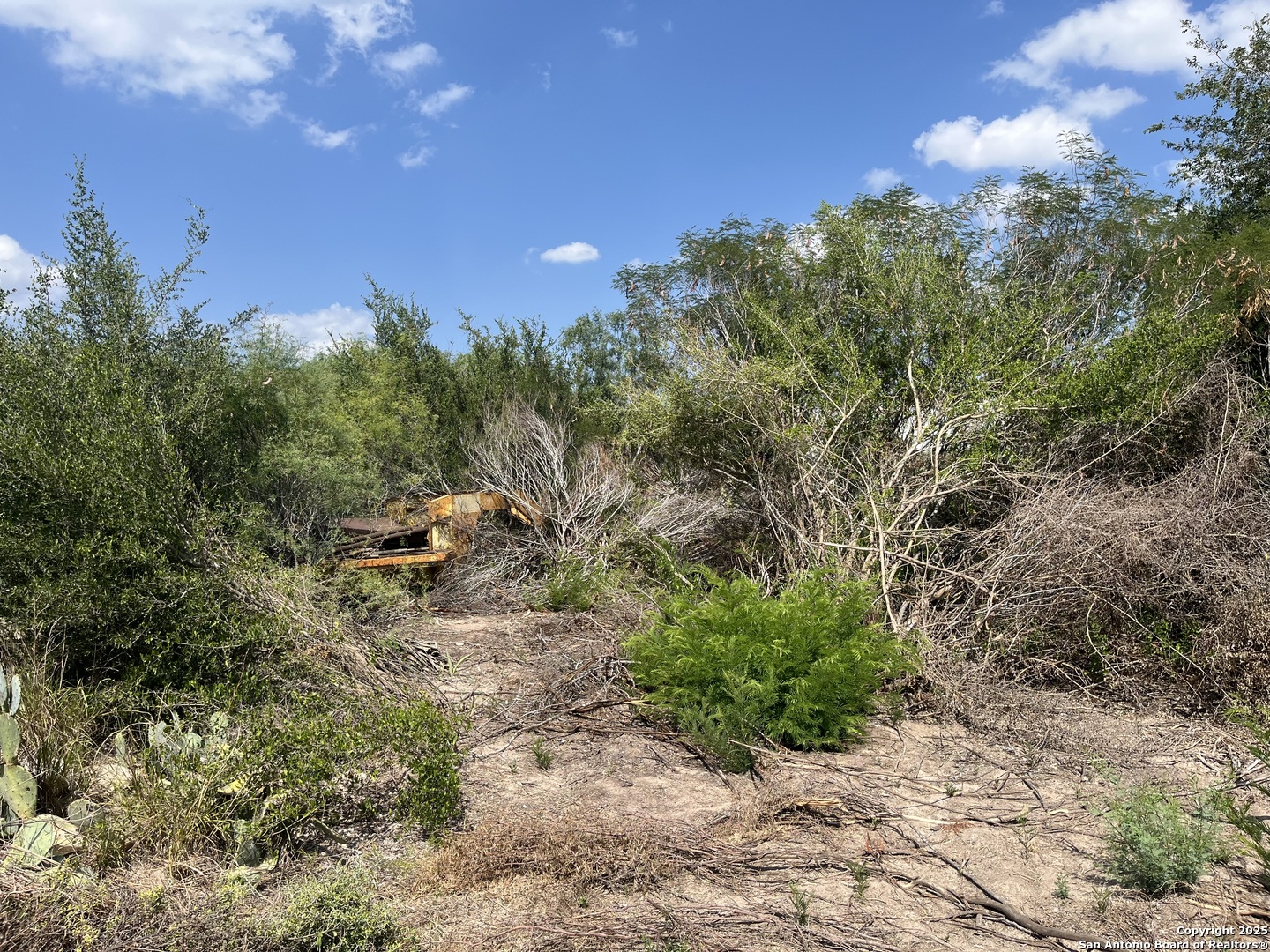 Tbd Highway 59 Freer TX 78357