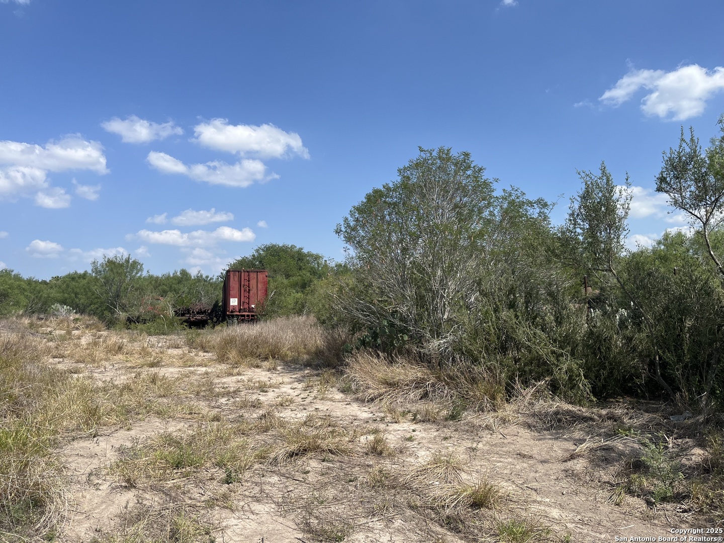 Tbd Highway 59 Freer TX 78357