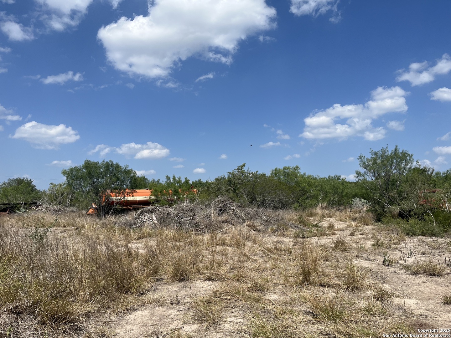 Tbd Highway 59 Freer TX 78357