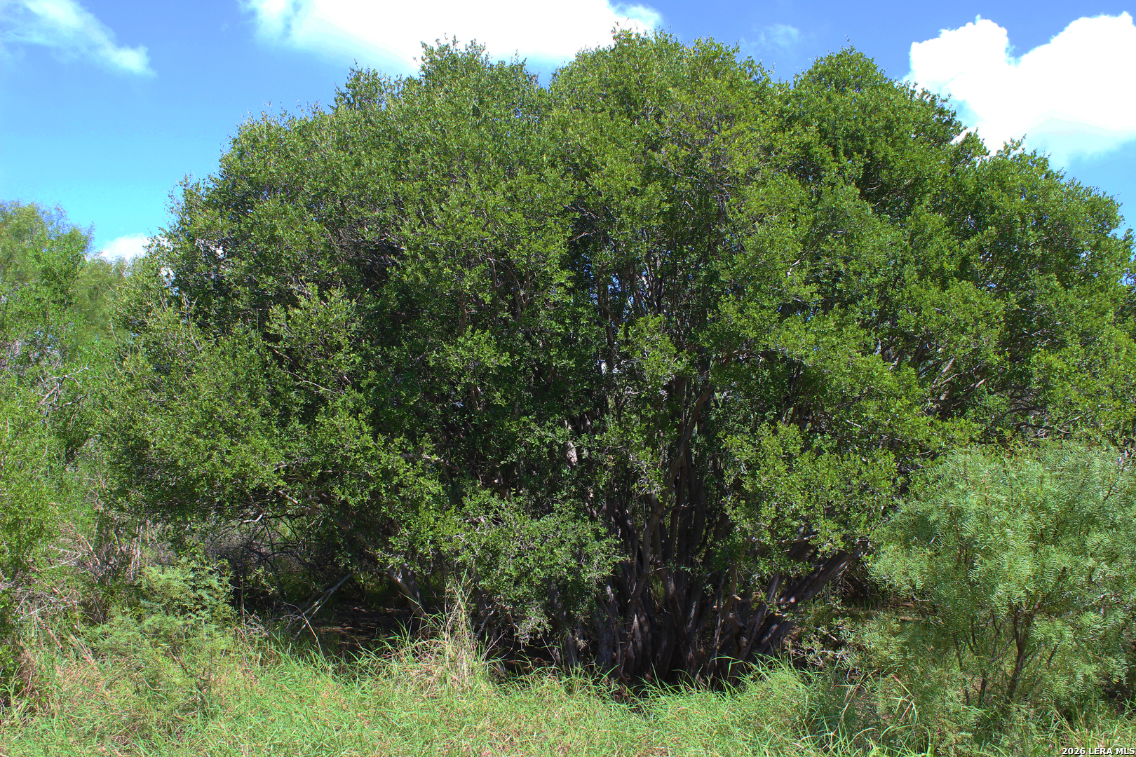 19268 A Highway 85 Big Wells TX 78830