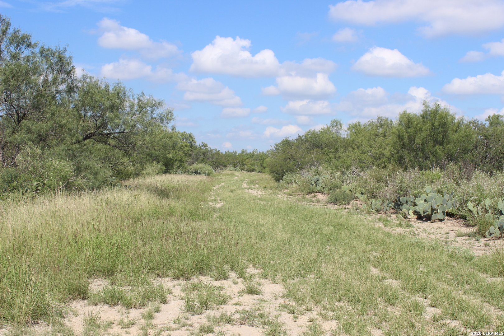 19268 A Highway 85 Big Wells TX 78830