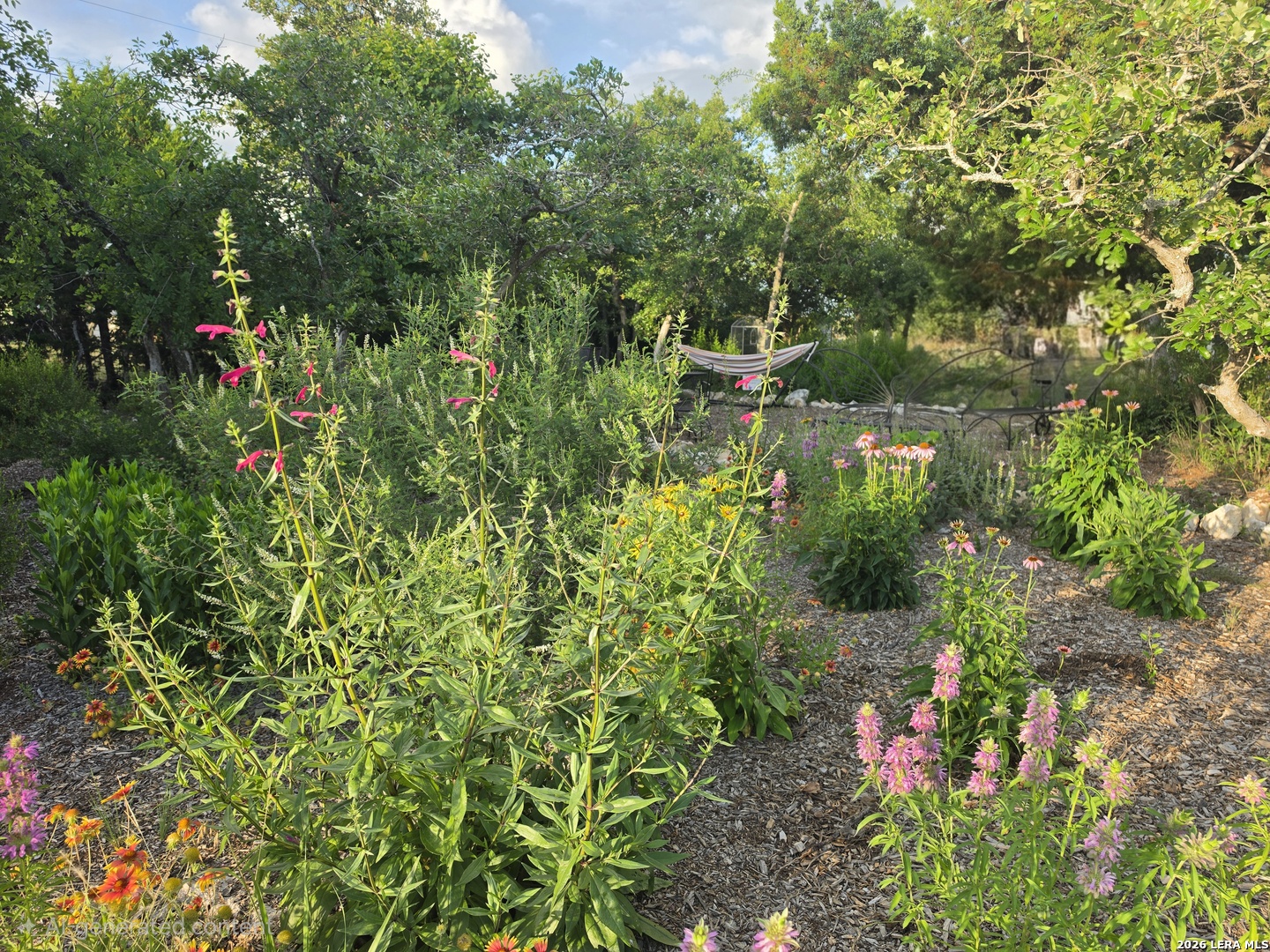 7991 Ranch Road 965 Fredericksburg TX 78624