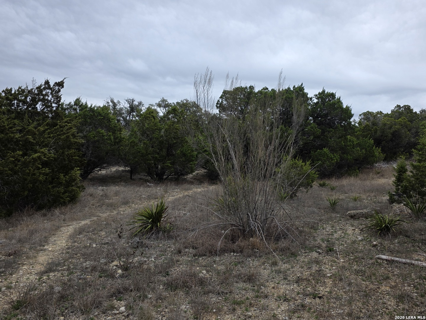 13950 Us Highway 281 Spring Branch TX 78070