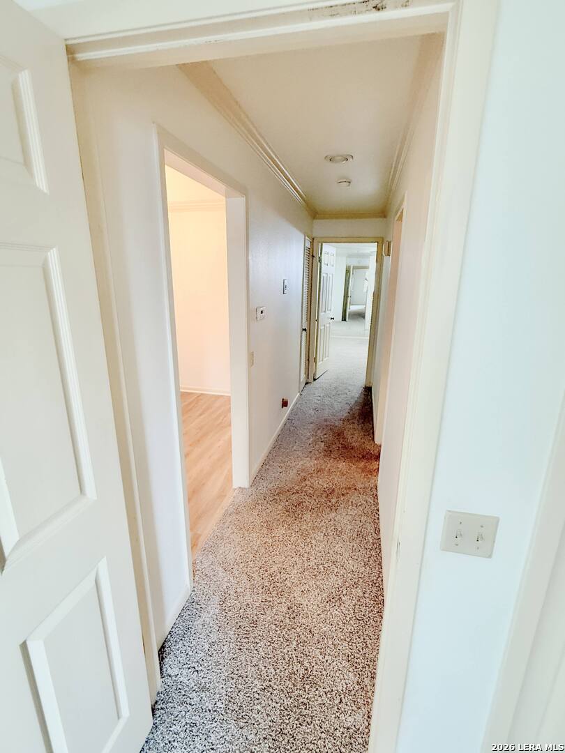 8415 Fredericksburg Road San Antonio TX 78229