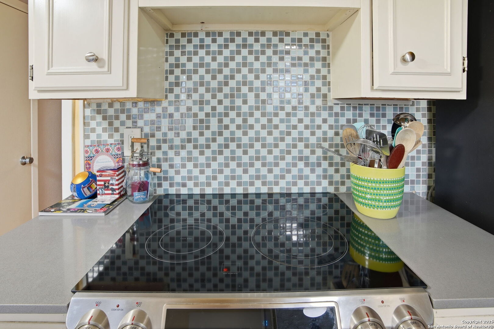 7123 Thrush View San Antonio TX 78209