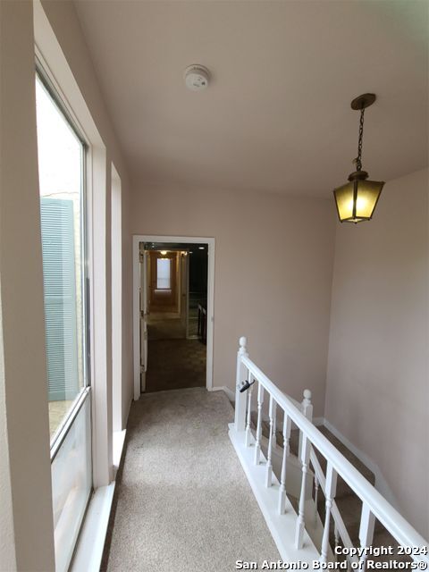 3678 Hidden Drive San Antonio TX 78217