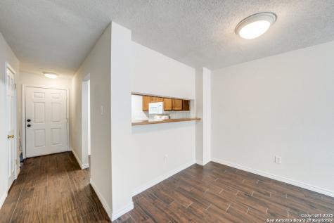 10254 Dover Ridge San Antonio TX 78250