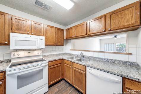 10254 Dover Ridge San Antonio TX 78250