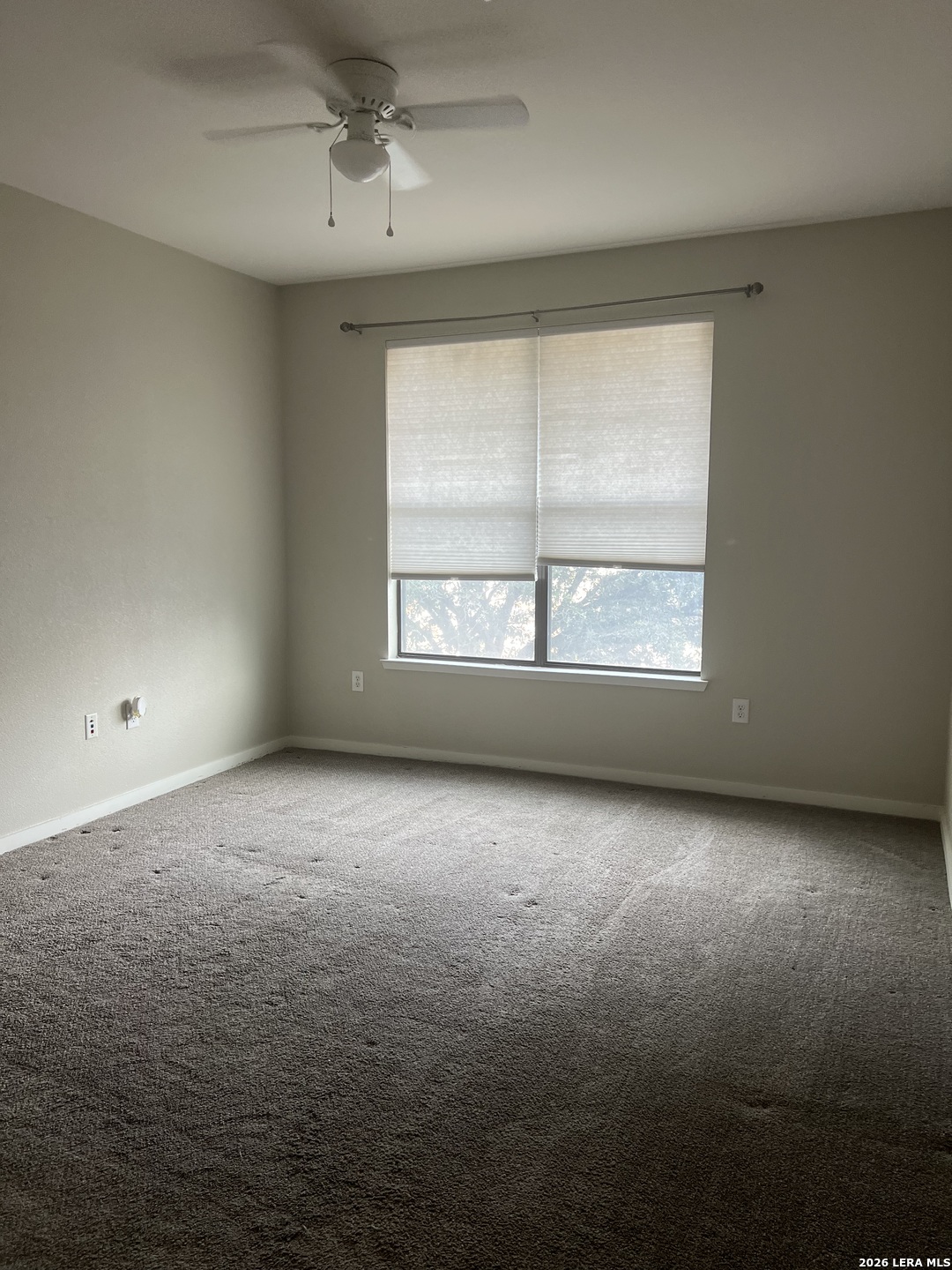 7342 Oak Manor San Antonio TX 78229
