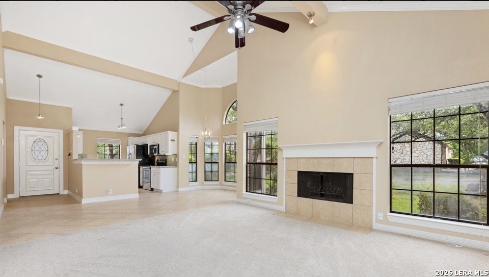 17228 Rock Falls San Antonio TX 78248