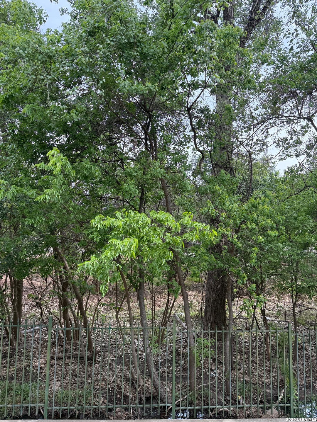 5359 Fredericksburg San Antonio TX 78229