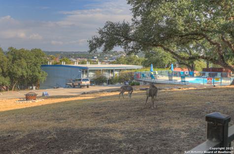 1603 Parkview Canyon Lake TX 78133
