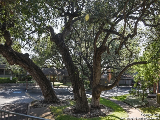 36 Chapel Hill Circle San Antonio TX 78240