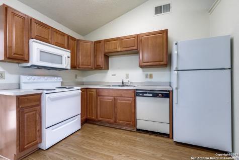 9140 Timber Path San Antonio TX 78250
