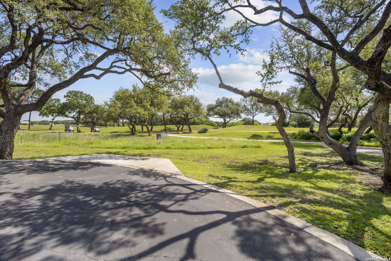 522 Carriage House Spring Branch TX 78070