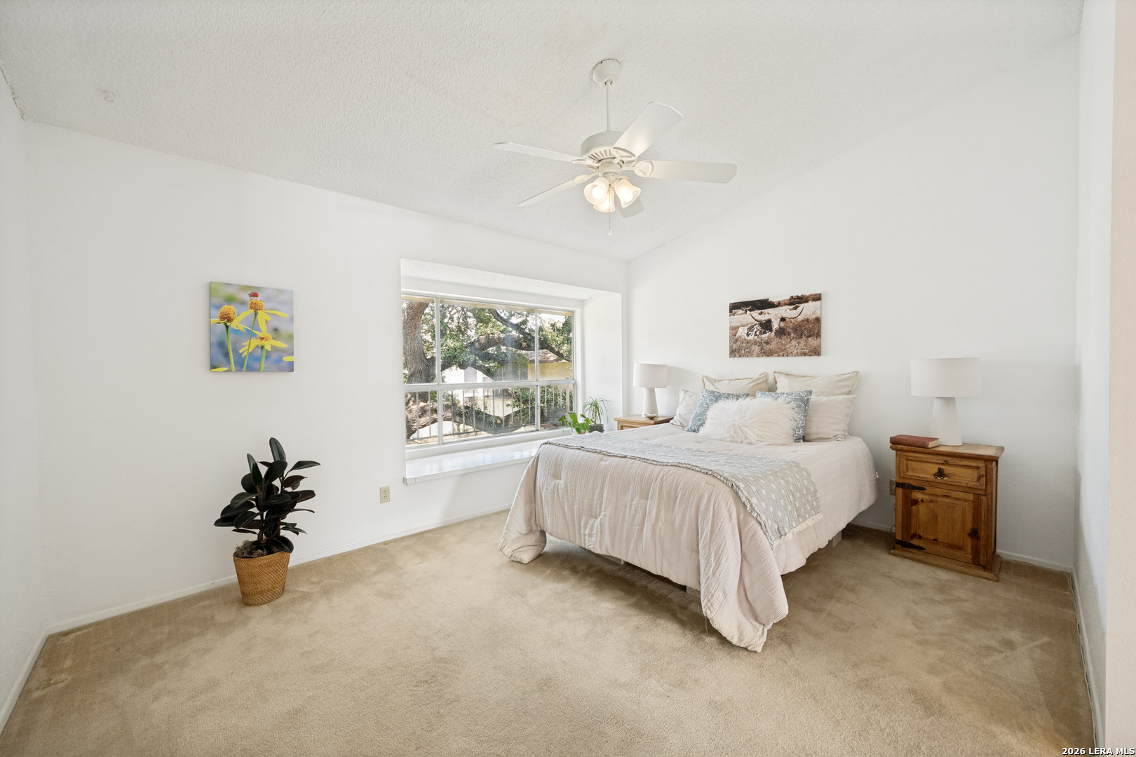 7123 Thrush View San Antonio TX 78209