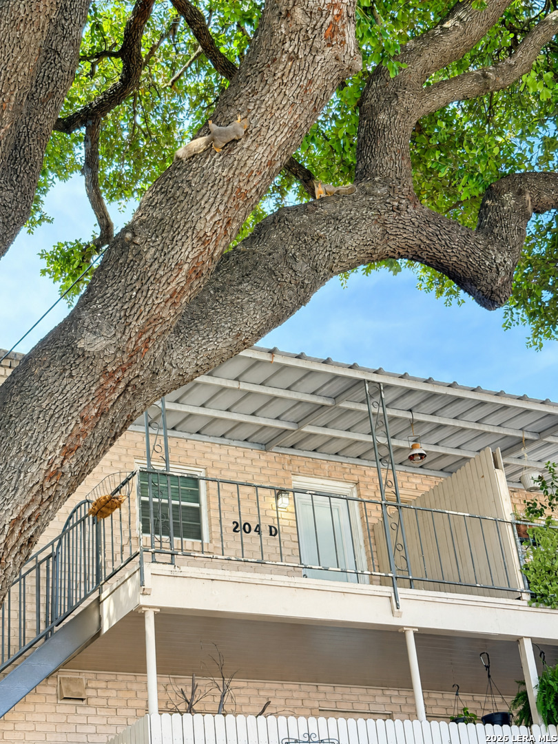 102 Ruelle Lane San Antonio TX 78209