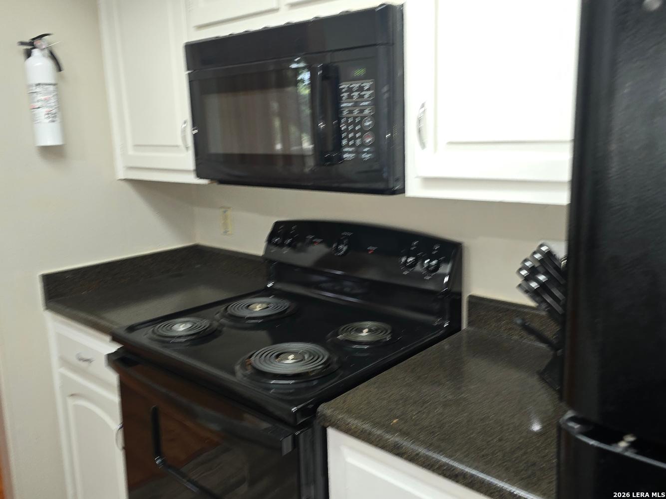 11843 Braesview #1802 San Antonio TX 78213