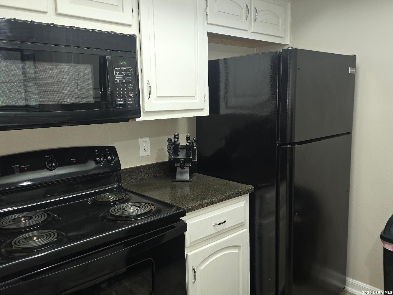 11843 Braesview #1802 San Antonio TX 78213