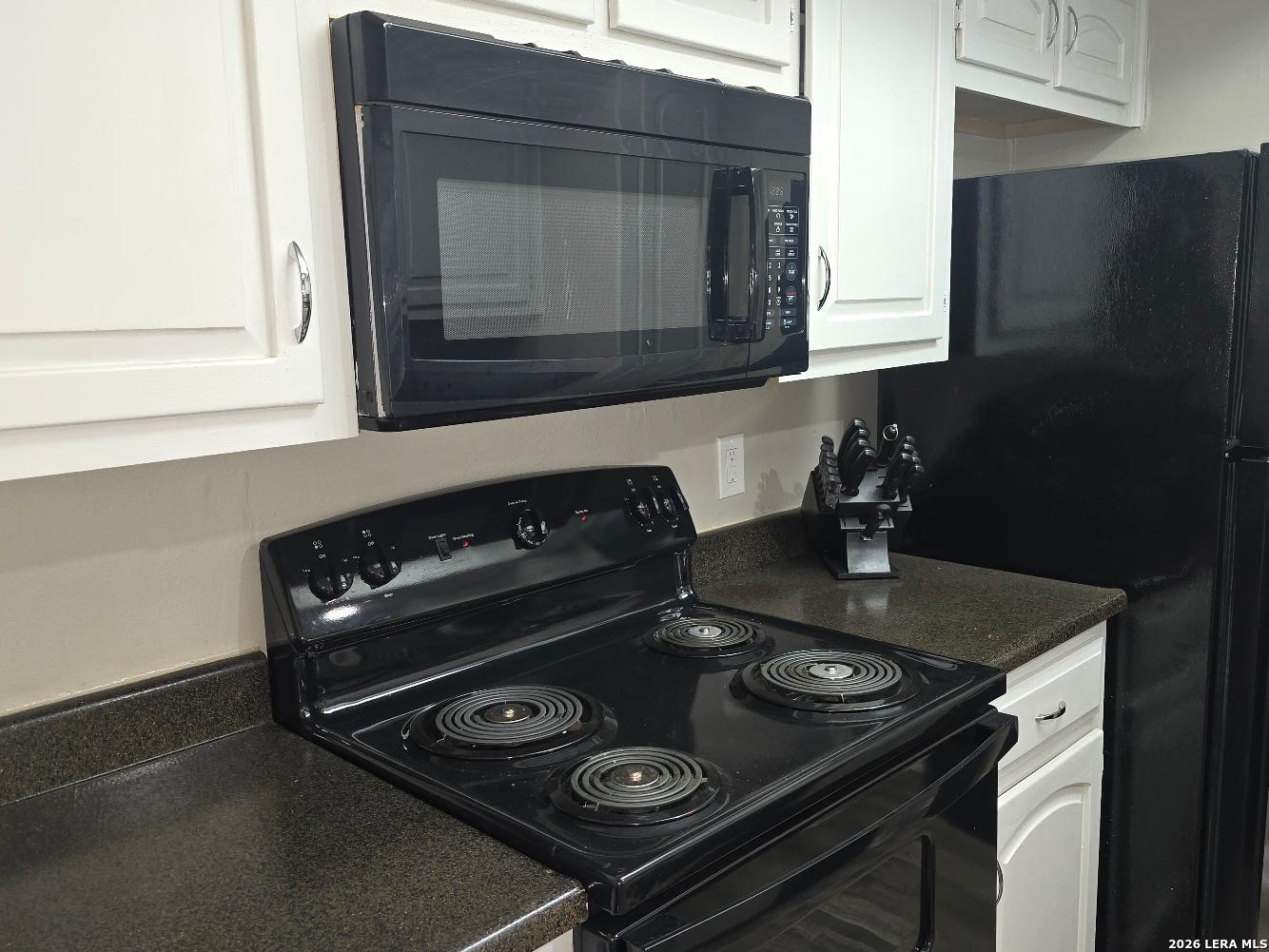 11843 Braesview #1802 San Antonio TX 78213