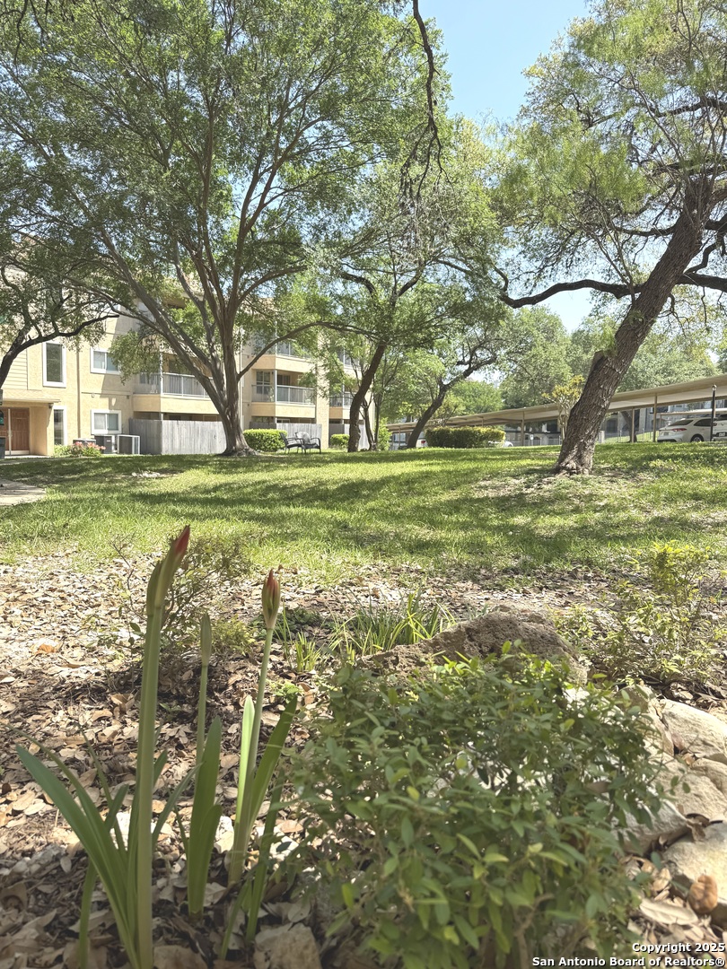 4111 Medical San Antonio TX 78229