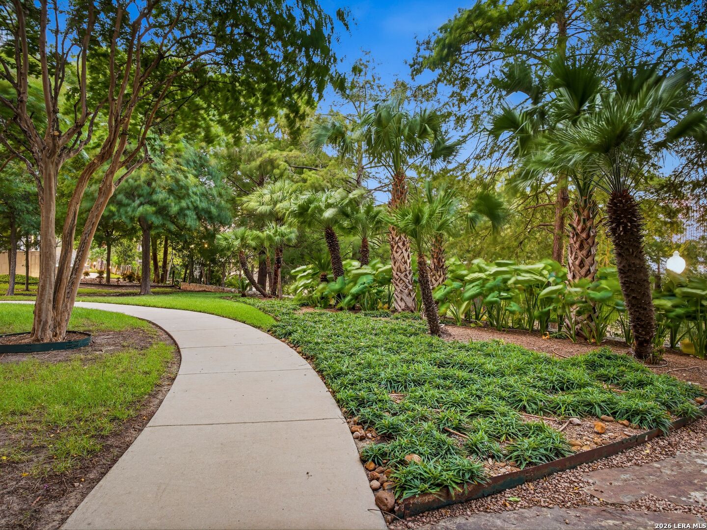 230 Dwyer Avenue San Antonio TX 78204