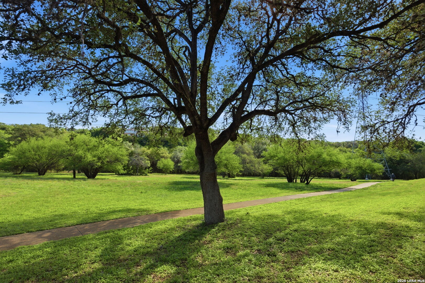 13130 Blanco San Antonio TX 78216
