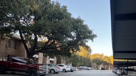 1819 Babcock Road San Antonio TX 78229