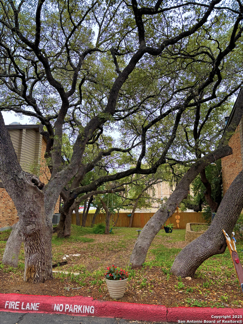 11815 Vance Jackson San Antonio TX 78230