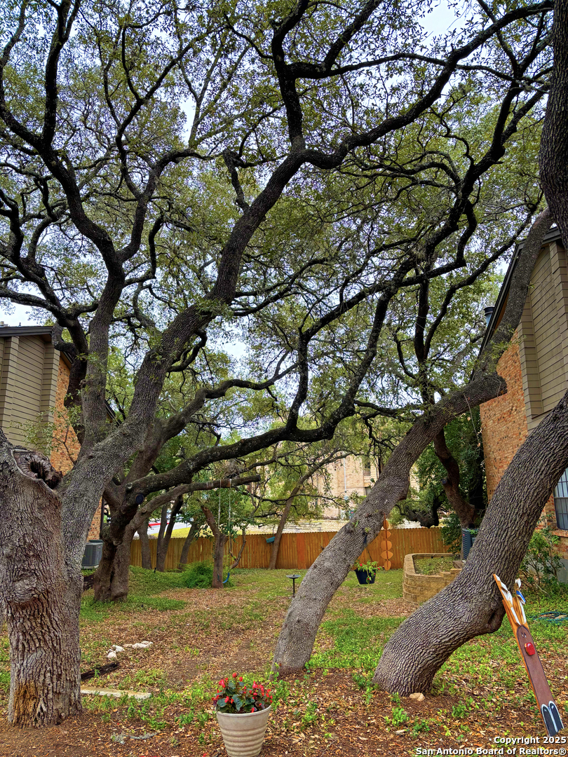 11815 Vance Jackson San Antonio TX 78230